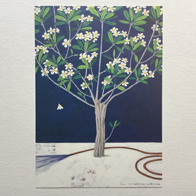 Yoko Matsumoto　マツモトヨーコ　ポストカード　白い花が咲く木　赤いホース