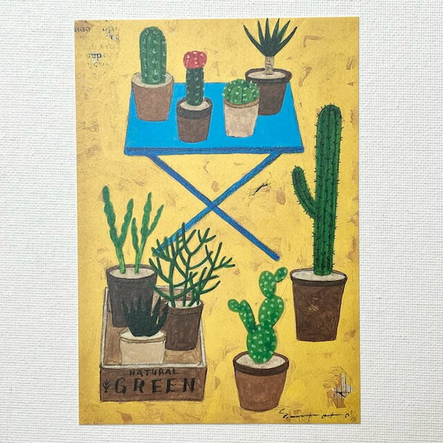 Yoko Matsumoto　マツモトヨーコ　ポストカード　サボテン　ブルーのテーブル　ウッドボックス