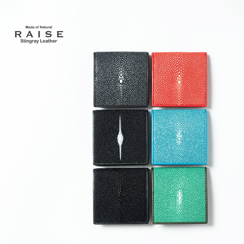 C, L, R, W - RAISE レイズ コインケースエイ革 スティングレイST-BOX-CC