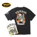 VANSON o\ TVcTVcNVST-2308