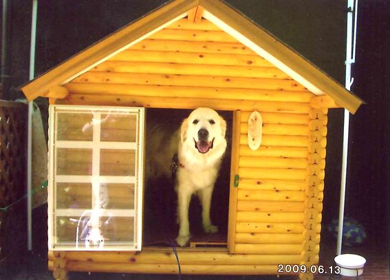 ログペットハウス 1400型 スタンダード犬小屋 小型犬 中型犬 大型犬 犬舎 柴犬 ラブラドールレトリバー ゴールデンレトリバー 犬小屋 屋外