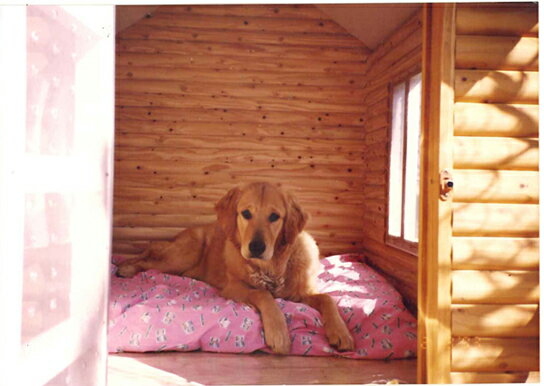 ログペットハウス 1250型 デラックス 柴犬 ラブラドールレトリバー ゴールデンレトリバー 犬小屋 中型犬 大型犬 犬舎 屋外