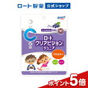 【栄養機能食品(ビタミンA)】《井藤漢方製薬》 ブルーベリールテインプラス 60粒 (約20日分)