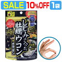 楽天株式会社ロアコスモ　楽天市場店【SALE 10％OFF 1袋】しじみ+牡蠣+ウコン+オルニチン 4大成分が一度に摂れる 二日酔いサプリ 最強の肝臓ケアサプリメント『しじみの入った牡蠣ウコン+オルニチン 120粒入り×1袋』