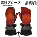 電熱グローブ バイク用 ヒーターグローブ長時間 4000mAhバッテリー2個付き 極暖力 3段階温度調節 タッチパネル対応 USB充電式 【5本指・ミトン型】 ...