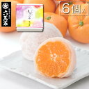 【季節限定】あす楽! 和菓子 『みかん大福 6個入り』 季節のみかんがまるごと! ジューシー 大福 ミカン大福 蜜柑　デザート 大粒 ギフト 贈り物 プレゼント 通販 お菓子 お取り寄せ 人気 美味しい お菓子 菓子折り 白餡 フルーツ 果物 手土産 大好評 スイーツ