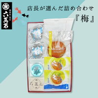 お中元 あす楽! 送料無料 和菓子 詰め合わせ 『梅 6月』6種 夏 金魚 ゼリー わらび水羊羹 お彼岸 あいまこいま 餡子 どら焼き ご入学祝 お供え ギフト 六萬石 お菓子 高級 お返し お祝い 手土産 プレゼント 水ようかん わらび餅 彼岸 帰省 お取寄せ お盆 お取り寄せ