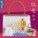 【超早割20%OFF 予約承り中】敬老の日 2025 和菓子詰め合わせ『敬老 Bag』内祝い お供え お菓子 ギフト お返し お祝い ありがとう お見舞い 帰省 手土産 プレゼント 十勝産小豆 お取寄せ 高級 お取り寄せ 送料無料【宅急便コンパクト】