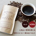 深煎り コーヒー 豆 飲み比べ セット 各250g×2 焙煎日本チャンピオン ロクメイコーヒー | 送料無料 珈琲豆 自家焙煎 高品質 スペシャルティコーヒー スペシャリティコーヒー 粉 中挽き 粗挽き 細挽き ドリップコーヒー エスプレッソ コーヒーメーカー 水出し 高品質