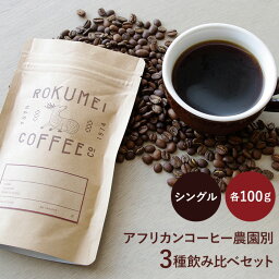 コーヒー 豆 20杯 アフリカンコーヒー農園別3種×100g 焙煎日本チャンピオン ロクメイコーヒー 焙煎豆 | 珈琲豆 自家焙煎 高品質 スペシャルティコーヒー スペシャリティコーヒー 粉 中挽き 粗挽き 細挽き ドリップコーヒー エスプレッソ コーヒーメーカー 水出し 飲み比べ