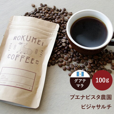 ロクメイコーヒー スペシャルティコーヒー 焙煎豆 グアテマラ ブエナビスタ農園 ビジャサルチ 100g | スペシャリティコーヒー コーヒー豆 珈琲豆 スペシャリティコーヒー 粉 豆のまま 中挽き 粗挽き 水出し ストレートコーヒー シングルオリジン おしゃれ 高品質 高級 人気