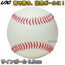 【野球・ソフトボール・ティーボール】サインボール　9.5cm　BB78-22 卒業記念品 寄せ書き