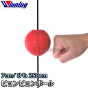 【ウイニング・Winning】ビョンビョンボール SB-9000（SB9000） パンチングボール パンチボール ボクシング 格闘技 ウィニング