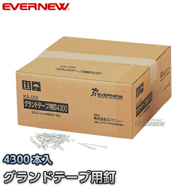 【EVERNEW・エバニュー】グランドテープ用釘4300　EKA055 ラインテープ釘 トラック競技 運動会【送料無料】【smtb-k】【ky】