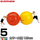 【EVERNEW・エバニュー】カラー大玉120 EKA360 大玉転がし 大玉送り 運動会【送料無料】【smtb-k】【ky】