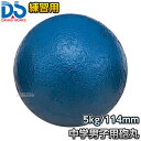 【DANNO・ダンノ】砲丸投げ 練習用砲丸 中学男子・U18男子用 5kg D-1250(D1250) 陸上 投てき 投擲 鉄球|詳細画像
