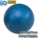 【DANNO・ダンノ】砲丸投げ 練習用砲丸 中学女子用 2.721kg D-217(D217) 陸上 投てき 投擲 鉄球|詳細画像