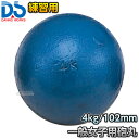 【DANNO・ダンノ】砲丸投げ 練習用砲丸 一般女子・高校女子・U20女子用 4kg D-218(D218) 陸上 投てき 投擲 鉄球|詳細画像