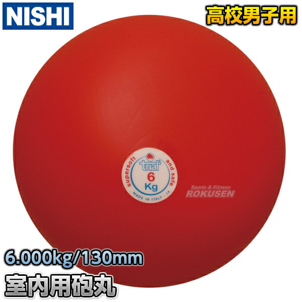 NISHI ˥ݡġˤꤲ եȥˤ 6.0kg T5557 Φ Ƥ ڳ Ŵ̵ۡsmtb-kۡky