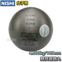 yNISHI jVEX|[czCۓ C qp 4.0kg F253C  Ă  Syzysmtb-kzykyz