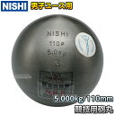 yNISHI jVEX|[czCۓ C wjqEU18jqp 5.0kg F292B  Ă  Syzysmtb-kzykyz