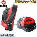 【ISAMI・イサミ】パンチングミットフィット 左右一組 IBX-10（IBX10） パンチミット 空手 格闘技 その1