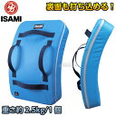 【ISAMI・イサミ】ビッグミット スカイブルーミットLL ...