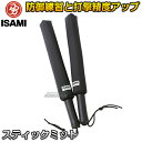 【ISAMI・イサミ】スティックミット 2本一組 SS-800(SS800) パンチングミット パンチミット ボクシング キックボクシング 空手 MMA 総合格...