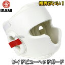 【ISAMI・イサミ】ワイドビューヘッドガードII TT-4