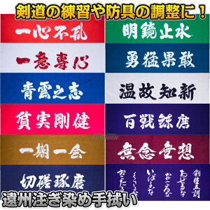 【武藤】剣道 手ぬぐい遠州注ぎ染め 一心不乱/一期一会/切磋琢磨/明鏡止水/温故知新/勇猛果敢/青雲の志/百戦錬磨/無念無想/一意専心/質実剛健/剣生五訓 手拭い TG-11(TG11) 劍道 タケフジ 面タオル 遠州注ぎ染め手拭い