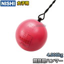 NISHI ˥ݡġۥϥޡꤲ ϥޡ   4.0kg NF210 Φ Ƥ ڳ̵ۡsmtb-kۡky