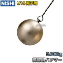 【ニシ・スポーツ　NISHI】ハンマー投げ　練習用ハンマー　U18段使用　5.0kg　NT5609 陸上 投てき 投擲【送料無料】【smtb-k】【ky】