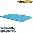 【九櫻・九桜】柔道用 投込みマット 傾斜型二ツ折 幅2m×長さ3m 厚さ2.5cm〜8cm/50cmスロープ S915 傾斜付き投げ込みマット 投げ技練習 早川...