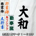 ブラジリアン柔術【FUJI SPORTS フジスポーツ All Around】白色 A0・A1・A2・A3 柔術着/柔術衣/道着