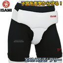 【ISAMI・イサミ】女性用アンダーガード SS-6（SS6） ファールカップ ファウルカップ キックボクシング 空手 MMA 総合格闘技