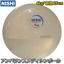 【NISHI ニシ・スポーツ】アンバランスメディシンボール 4kg 直径26cm NT5924 筋トレ 筋力トレーニング 水入りボール その1