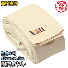 https://thumbnail.image.rakuten.co.jp/@0_mall/rokusen/cabinet/sumo/imgrc0074839484.jpg