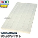 【折原】レスリングマット練習用 100×200×6cm 1枚単品 WG741 折原製作所
