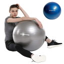 Vit Fit フィットネスボール65cm 全2色