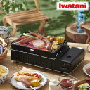 岩谷 カセットガス 炉ばた焼器 炙りや CB-ABR-2