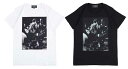【SALE】 Amplifier アンプリファイア “BLACK CATS” TEE Tシャツ design A 2色（Black/White）