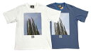 ySALE 70%OFFz TAKASHI KUMAGAI ~ GORILLATACOS@S^RX@CACTUS TEE@JN^X TVc@2FiWHITE/BLUEj