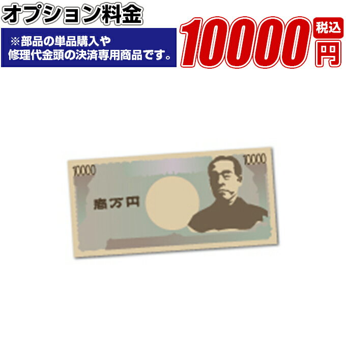 オプション料金 10,000円 02P19Dec15