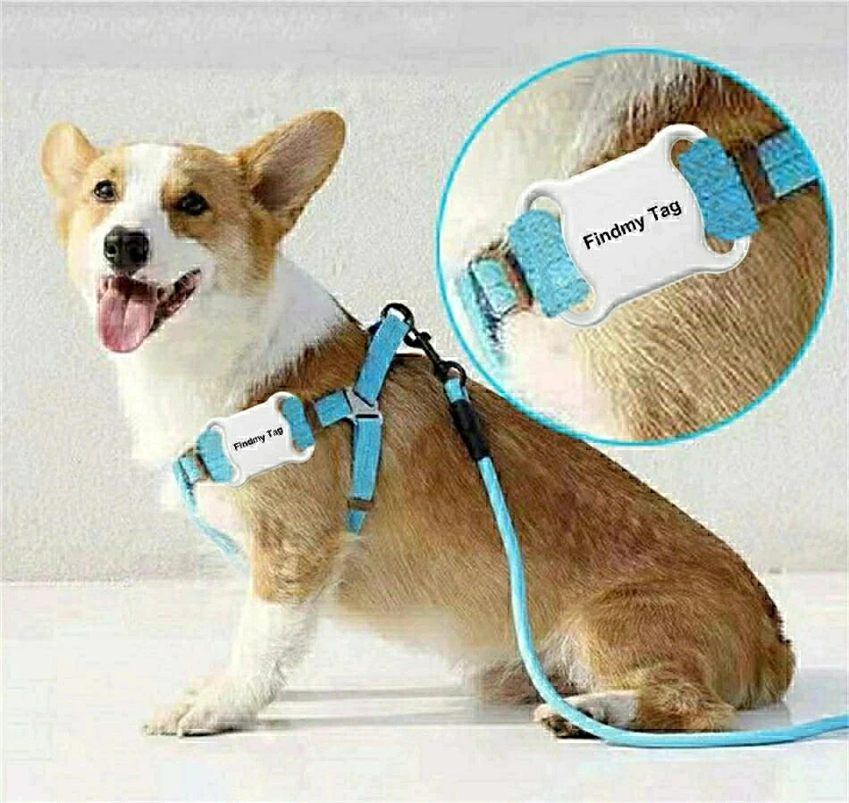 rollwoodのペット用GPS ミニ犬　猫 GPS 追跡装置　首輪対応　ペット用品　犬　猫用　紛失防止 GPS トラッカー　犬猫追跡装置　防水性 アラーム付きペット GPS　高精度　 トラッカー どんな首輪にも対応 ボタン電池 長時間待機｜アングル2