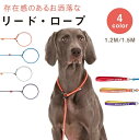 犬 リード 首輪一体型 頑丈 小型犬 中型犬 大型犬 アウトドア トレーニング 訓練用 スリップリード ペット ペットグッズ 犬用品 しつけ おしゃれ ロープ