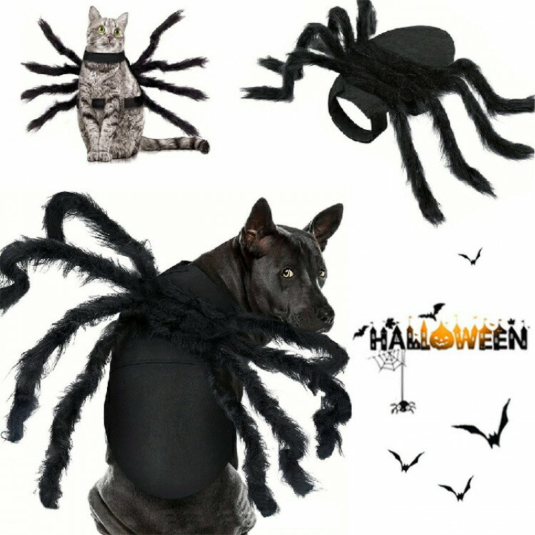 ハロウィン コスプレ衣装 ペット 蜘蛛 仮装 コスチューム クモ 黒蜘蛛 犬服 猫服 コスプレ くものコス..