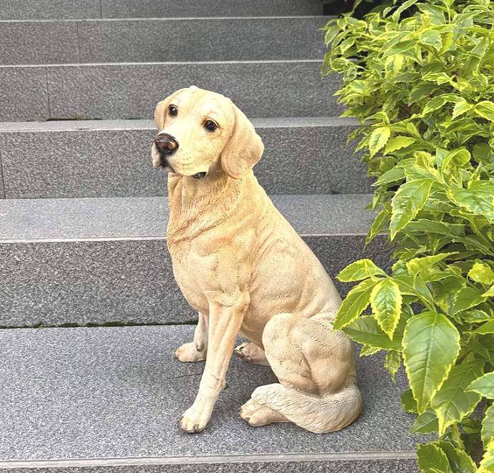 Rakuten - リアルなゴールデンレトリーバー彫像 耳を立てた可愛いレトリバー犬 庭,芝生,玄関,屋内装飾に最適 屋外装飾 ドッグ装飾彫刻