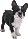 リアルな外観の、立っているフレンチブルドッグの子犬 置物像、彫像、彫刻 (輸入品)ギフト、獣医 ドッグカフェ、幼稚園 児童館(輸入品)(3)