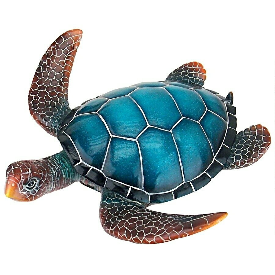 アオウミガメ カメ 亀 剥製 壁掛け 置物 オブジェ 約83cm アオウミガメ カメ 亀 剥製 壁掛け 置物 オブジェ 約83cm