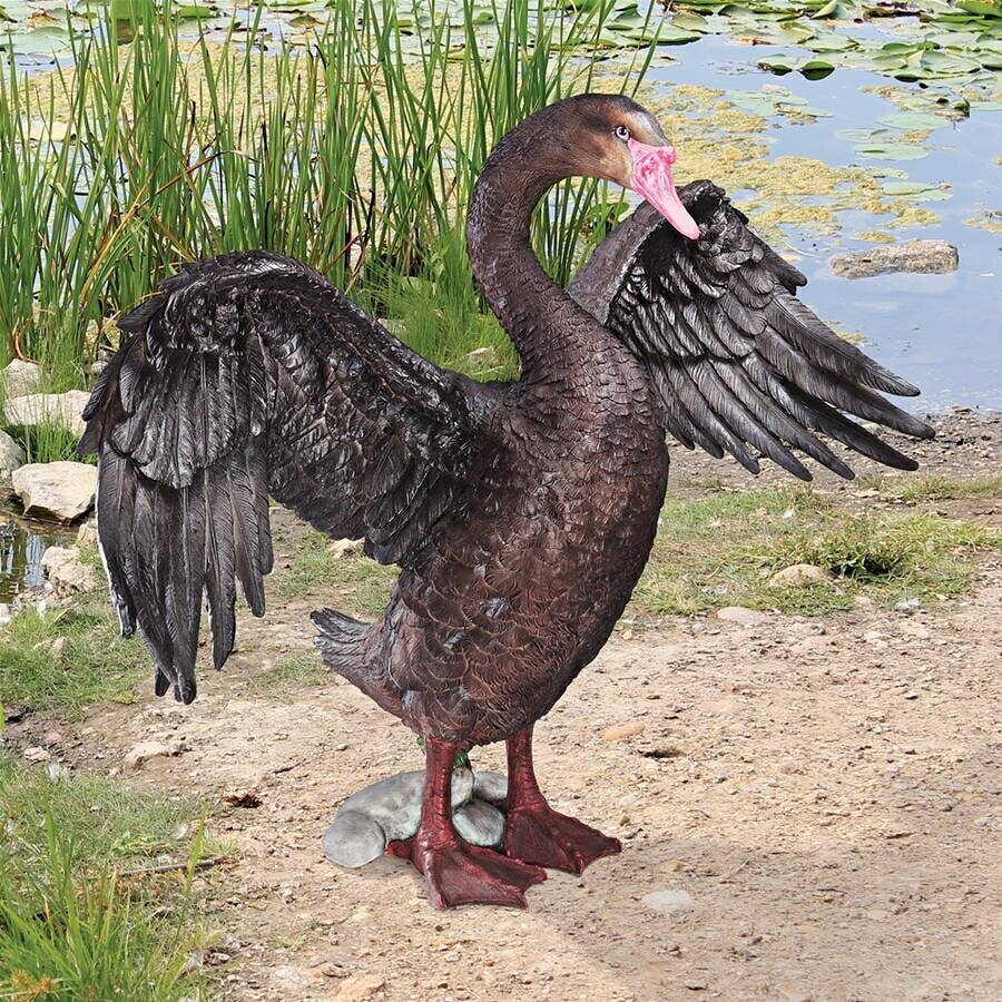 Rakuten - 動物彫刻 ブラック・スワン（黒鳥）ガーデン彫像/ ガーデニング 芝生 庭園 園芸 作庭 広場 プール 記念品 プレゼント 贈り物（輸入品